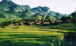 Thêm đại gia muốn đầu tư khu nghỉ dưỡng gần 150 ha tại Cao Phong, Hòa Bình