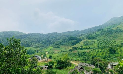 giá vớt rẻ có 1-0-2 tại Hợp Phong Cao Phong chỉ hơn 100k/m2 Diện tích 2,2ha