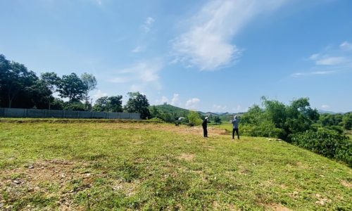 Chính chủ cần bán tổng diện tích 2798m trong đó có 200 thổ cư