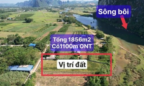 Bán nhanh lô đất cực kỳ khan hiếm với  tổng diện tích 1856,4m2 trong đó có 1100m thổ cư còn lại là cây lâu năm.