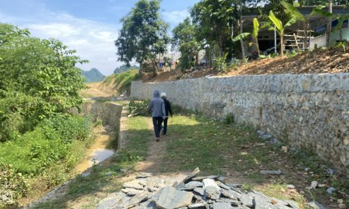 Bán gấp lô đất có diện tích 2798m2 trong đó có 200m2 thổ cư còn lại là cây lâu năm