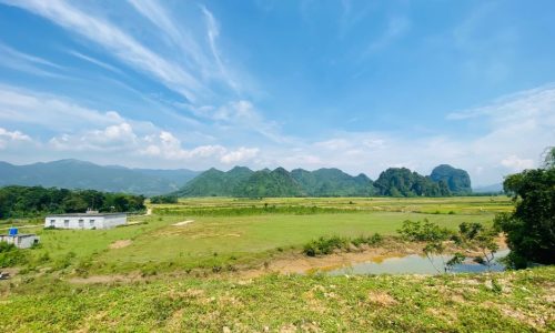 Cần bán Siêu phẩm bám suối diện tích 2798m2(200tc) + Cách Serena Resort 1km  + Cách đường 12C để ra dự án Sungroup 3km  + Cách dự án cáp treo SUNGROUP 5km