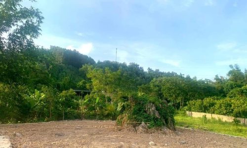 Nhanh tay sở hữu về tay đất thị trấn 1000m2 có 200m2 đô thị Khu xóm Khì, thị trấn Mãn Đức, Tân Lạc, Hoà Bình Gần sát khu phân lô dự án Mường Khến Heritage