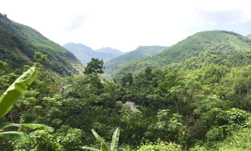 Bán gấp lô đất có diện tích 4,4ha ( thực tế sử dụng 5ha) trong đó có 400m2 thổ cư tại Toàn Sơn – Đà Bắc