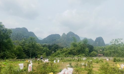 Chính chủ e cần bán lô đất 2230m 200m ont vuông đẹp tại Cao Dương – Lương Sơn – Hòa Bình giá chỉ nhỉnh 3.2 tỷ