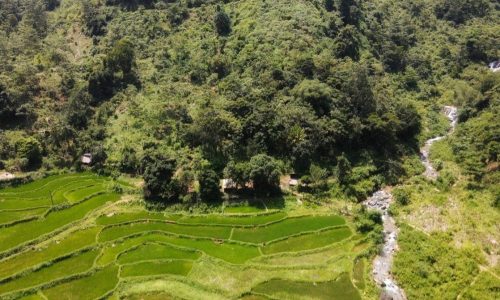 Cần bán 5 ha tại đà bắc hoà bình quý anh chị nào thiện trí xin vui lòng liên hệ