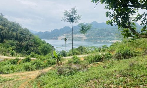 Cần bán tổng diện tích 1 ha 3  vị trí lô đất đẹp view hồ