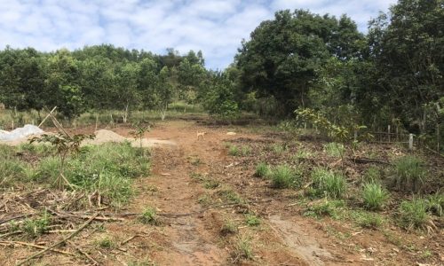 Chính chủ cần bán với tổng diện tích 2400m  tại kỳ sơn