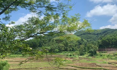 Cần bán nhanh tay mảnh đất đẹp như đảo 1409m2 Lỗ SơnThế đất cao, view cánh đồng lúa, tầm nhìn rộng