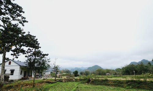 CHỜ GÌ MÀ KHÔNG MUA ĐẤT- THỜI ĐIỂM VÀNG MUA ĐẤT, chưa đến 300k/m đất Chủ nhờ bán 2793m2 (200m2 ONT + CLN) Tại Xóm Đung, xã Phú Vinh