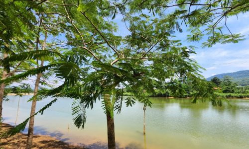 Có ngay siêu phẩm view hồ xanh mát tại Lạc Sơn. Với thị hiếu nhu cầu tìm đất ven ao, hồ