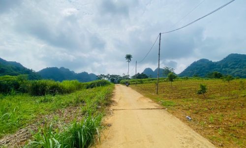 SIÊU PHẨM NGHỈ DƯỠNG DIỆN TÍCH LÊN ĐẾN 1HA CÓ SẴN 1000m2 THỔ CƯ SỞ HỮU TẦM VIEW TRIỆU ĐÔ