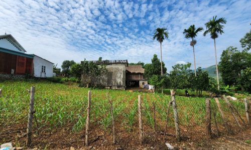 1883m2 có hẳn 800m thổ cư sẵn nhà tại Cao Phong Sẵn nhà cấp 4 và 1 nhà sàn cao, sẵn sổ