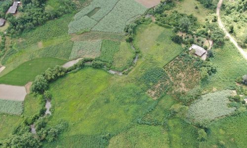 Mảnh đất tại xã Mỹ Hoà chỉ hơn 300k/m Với diện tích lên tới gần 1,1ha tại xã Mỹ Hoà 400m2 ONT, 3400 BHK và 9000m2 đất cây lâu năm