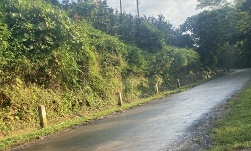 Ơ THỂ KHÔNG AI MUA ĐẤT 30K/M À Cần bán mảnh đất rừng sản xuất 1,3ha chỉ 30k/m2 tại Dũng Phong