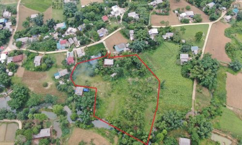 Đất giá chỉ ở thời điểm này ĐẤT MAI CHÂU 7500m2 có 350 ont chỉ 240k/m