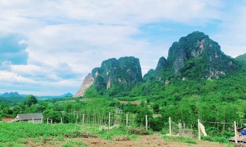 Cần bán nhanh mảnh đất tại Tân Phong, Cao Phong 3984m trong đó đất ont lên tới 1300m, còn lại là đất trồng cây lâu năm