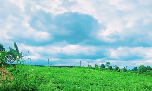 Chính chủ cần bán mảnh đất Tân Phong, Cao Phong 3984m2 có 1300ont+ CLN Cao Phong