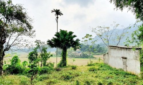 siêu phẩm chọn lọc Hot Nhân Mỹ 3400m2 chưa? Diện tích 3400m2 ( 400m ONT) Gần UBND Nhân Mỹ. Đất bám mặt đường bê tông liên thôn 34m .