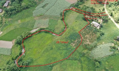 ĐẤT NHÀ cần bán 1,1ha Mỹ Hoà chỉ hơn 200k/m 1.1ha trong đó có: 400m2 ONT, 3400 BHK và 9000m2 đất cây lâu năm xóm Ngay,