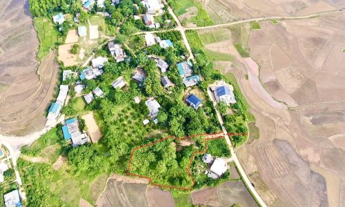 Thu vốn bán rẻ Nhanh tay, nhanh tay mua ngay 1409 Lỗ Sơn cho mảnh đất view cánh đồng quê, mát mẻ yên bình Ngay tại thời điểm đất đang giảm sâu mua nhanh trước khi sốt đất trở lại anh chị ơi