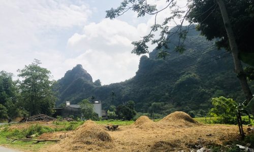 BÁN GẤP LÔ ĐẤT MẶT ĐƯỜNG TRƯỜNG SƠN DT 5000m2 GIÁ CHỈ 1,x TỶ THÔI