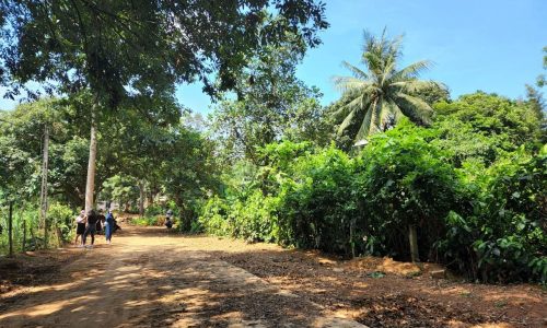 Nay e trình làng siêu phẩm view hồ Lạc Sơn 1000m có 108m Ont