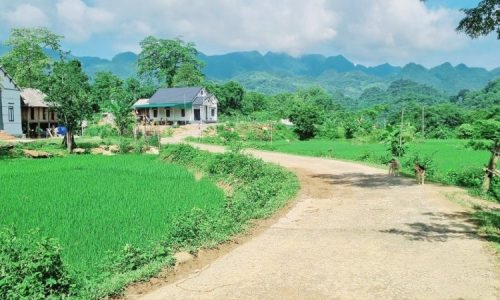 CHỈ hơn 280K CHO 1 MÉT ĐẤT PHÚ VINH 2793m2 ( có 200m2 ONT và còn lại là CLN).Bám mặt đường bê tông liên xã 18m