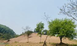 VẺ ĐẸP NẰM TRONG ÁNH MẮT CỦA KẺ SI TÌNH Với diện tích 1341,8m có 400ONT tặng kèm hơn 1700m đất rừng