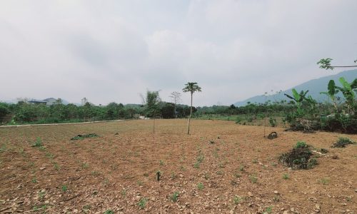 Cần bán nhanh cắt lỗ mảnh 1800m thế đất bằng phẳng sẵn nhà gần khu công nghiệp tại Đà Bắc