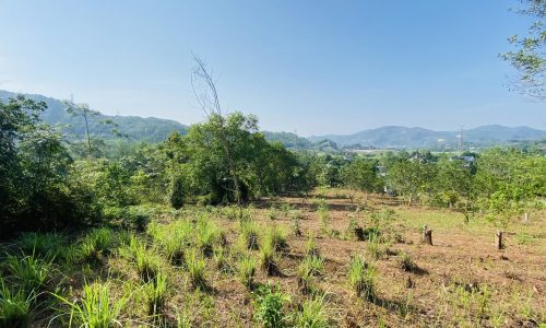 BÁN GẤP LÔ ĐẤT VIEW CÁNH ĐỒNG TRIỆU ĐÔ CHỈ CÁCH ĐƯỜNG CAO TỐC CÓ 500m