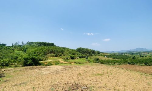 BÁN GẤP LÔ ĐẤT CÓ DT 5000m2 BẰNG PHẲNG ĐẸP TỰA BÌNH NGUYÊN