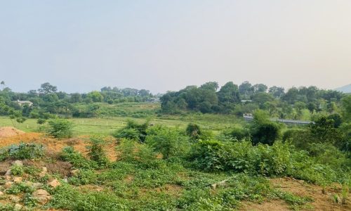 ĐẤT HÒA SƠN MÀ GIÁ CHỈ 1,xTR/m2 CÓ DT 288m2 (200m2 ONT) RẺ NHẤT THỊ TRƯỜNG