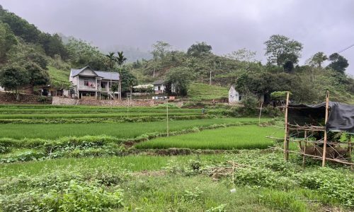 BÁN GẤP LÔ ĐẤT CỰC PHẨM DT 1000m2 FULL THỔ CƯ SẴN NHÀ VIEW CÁNH ĐỒNG CỰC ĐẸP