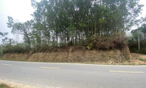 BÁN GẤP LÔ ĐẤT MẶT ĐƯỜNG ATK CỰC ĐẸP CÓ DT 1072m2 MÀ GIÁ CHỈ 2,x TỶ CỰC RẺ