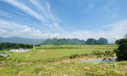 SIÊU PHẨM BÁM SÔNG VIEW TRIỆU ĐÔ CÓ DT 2798m2 GIÁ CHỈ 1,xTR/m2