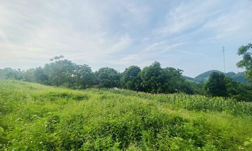 BÁN GẤP LÔ ĐẤT SẴN KHUÔN VIÊN CÓ DIỆN TÍCH 3054m2 (400m2 ONT) GIÁ CHỈ 1,xTR/m2