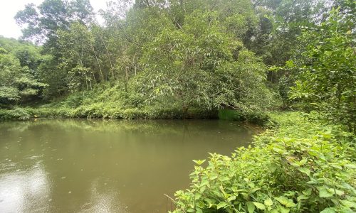 chính chủ cần bán  lô đất với tổng diện tích 3,1ha có 100 thổ cư