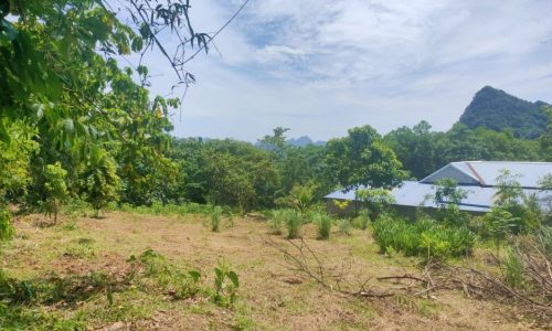 Bán gấp lô đất 2580m có 2000m ont (dt sử dụng gần 5000m). Có sẵn 2 căn nhà cấp 4.