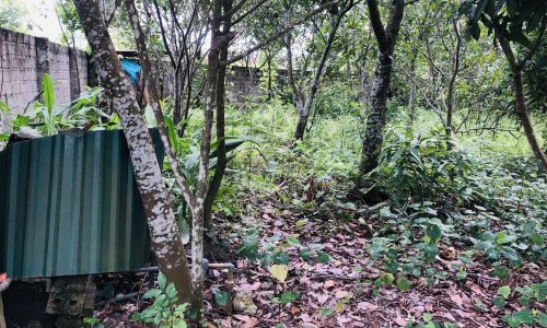 Bán gấp lô đất dt 920m có 100m ont, có sẵn nhà cấp 4.