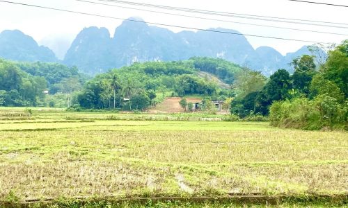 Bán gấp lô đất siêu đẹp có diện tích 800m2 full thổ cư