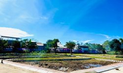 ĐẤT KHU PHỐ CHỢ NAM PHƯỚC, ĐƯỜNG 5M5, SẴN SỔ, CHỈ TỪ 900TR(HTV)