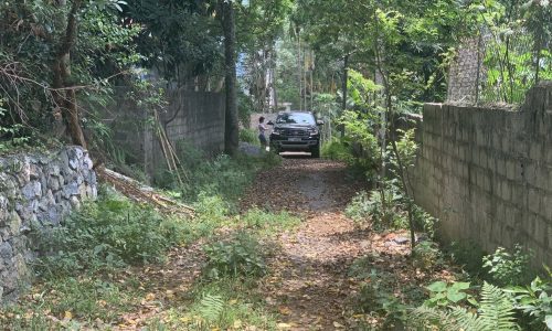 chính chủ cần bán lô đất với tổng diện tích 4434,4m tại liên sơn