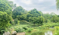 SIÊU PHẨM BÁM SUỐI ĐẸP NHẤT LƯƠNG SƠN CÓ DT 1800m2 (150m2 ONT) BÁM SUỐI HƠN 40m VIEW ĐẸP