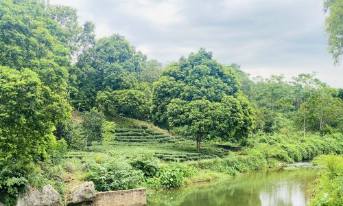 SIÊU PHẨM BÁM SUỐI ĐẸP NHẤT LƯƠNG SƠN CÓ DT 1800m2 (150m2 ONT) BÁM SUỐI HƠN 40m VIEW ĐẸP