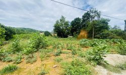 BÁN GẤP LÔ ĐẨT MẶT ĐƯỜNG HCM CÓ DT 201m2 MẶT TIỀN 17m GIÁ CHỈ 1,x TỶ