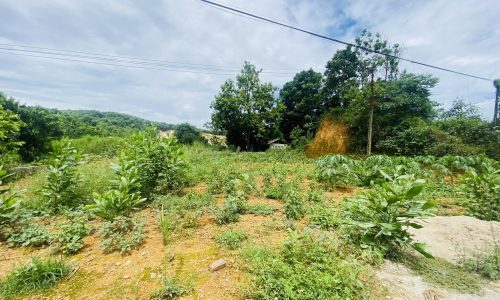 BÁN GẤP LÔ ĐẨT MẶT ĐƯỜNG HCM CÓ DT 201m2 MẶT TIỀN 17m GIÁ CHỈ 1,x TỶ