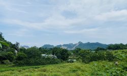 BÁN GẤP LÔ ĐẤT LƯNG TỰA NÚI CÓ DT 5008m2 (100m2 ONT) VIEW TRIỆU ĐÔ CỰC ĐẸP MẶT TIỀN 80m