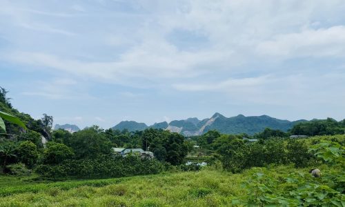 BÁN GẤP LÔ ĐẤT LƯNG TỰA NÚI CÓ DT 5008m2 (100m2 ONT) VIEW TRIỆU ĐÔ CỰC ĐẸP MẶT TIỀN 80m