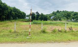 BÁN GẤP LÔ ĐẤT BÁM ĐƯỜNG LIÊN XÃ CÓ DT 5267m2 ( 1000m2 ONT) GIÁ CHỈ 1,xtr/m2